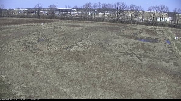 Cell 3_24-03-28_12-06-44-17