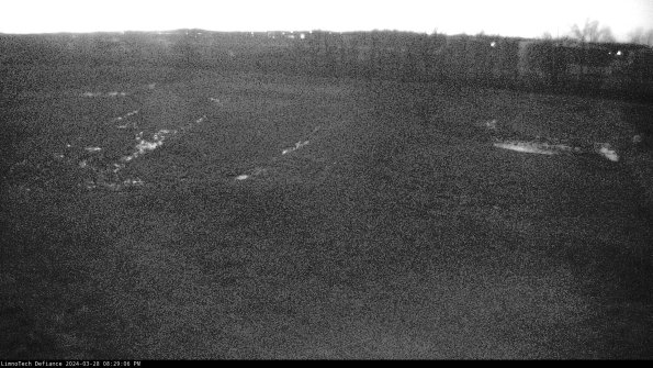 Cell 3_24-03-28_20-29-07-17