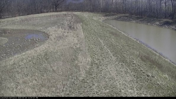 Cell 4 to Basin_24-03-28_12-07-42-19