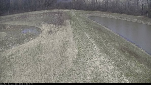 Cell 4 to Basin_24-03-28_14-55-10-18