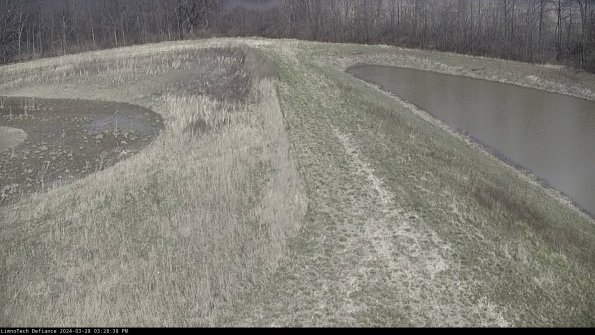 Cell 4 to Basin_24-03-28_15-28-39-17