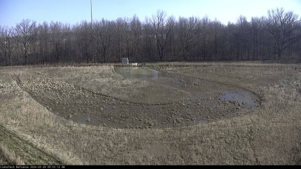 Cell 4_24-03-28_09-53-13-19