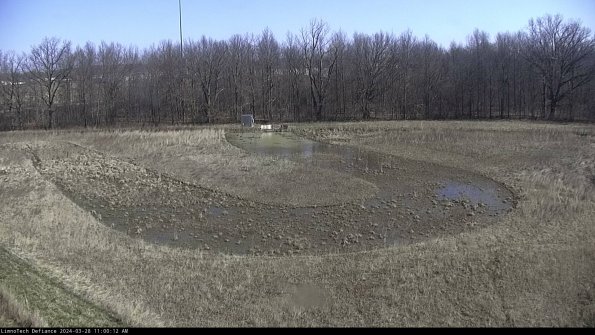 Cell 4_24-03-28_11-00-13-16