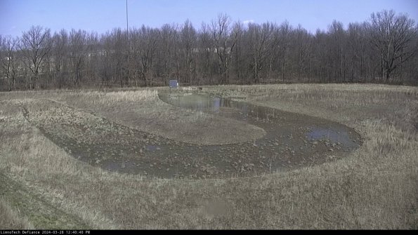 Cell 4_24-03-28_12-40-41-15