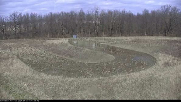 Cell 4_24-03-28_14-54-40-15