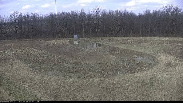 Cell 4_24-03-28_16-01-39-16