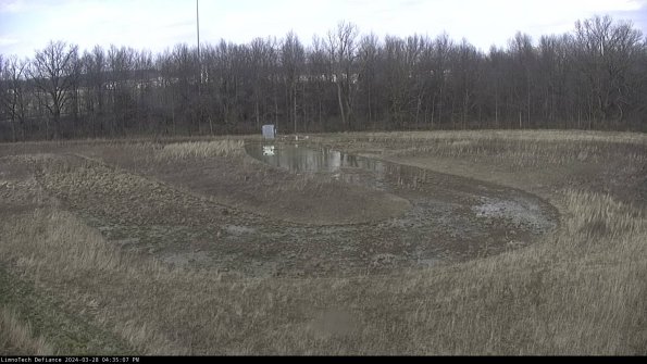 Cell 4_24-03-28_16-35-08-17