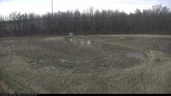 Cell 4_24-03-28_18-49-05-18