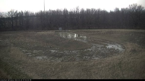 Cell 4_24-03-28_19-56-05-18