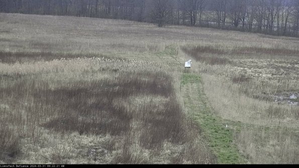 Cell 1 to 2_24-03-31_09-22-21-47