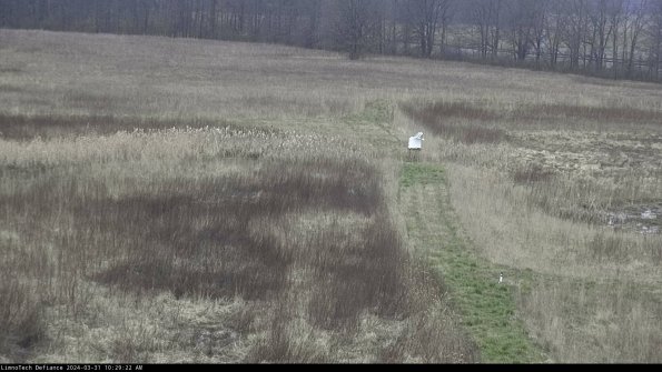 Cell 1 to 2_24-03-31_10-29-22-50