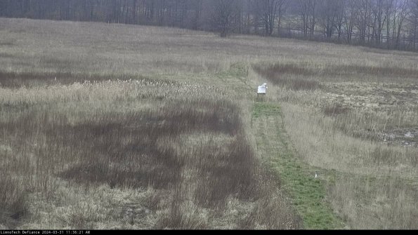 Cell 1 to 2_24-03-31_11-36-21-50