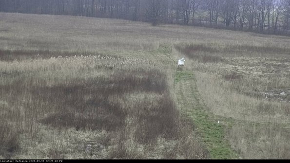 Cell 1 to 2_24-03-31_14-23-48-53