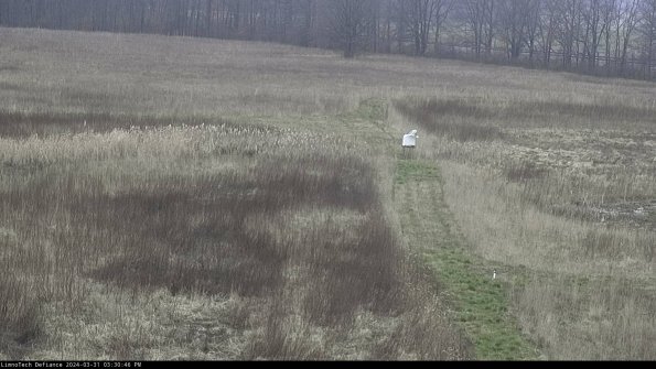 Cell 1 to 2_24-03-31_15-30-46-49