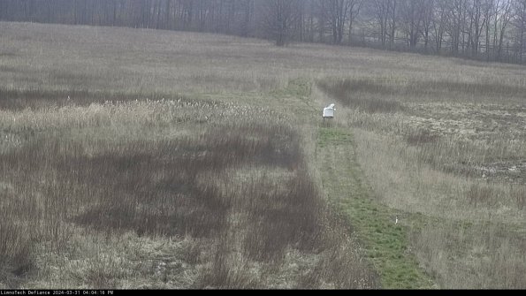 Cell 1 to 2_24-03-31_16-04-16-48