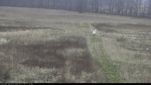 Cell 1 to 2_24-03-31_17-11-15-52