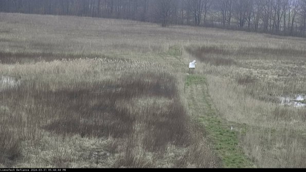 Cell 1 to 2_24-03-31_17-44-44-50