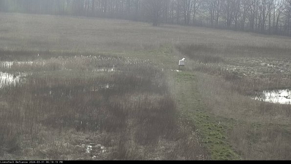 Cell 1 to 2_24-03-31_18-18-15-52