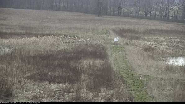 Cell 1 to 2_24-03-31_19-25-15-49