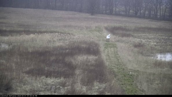 Cell 1 to 2_24-03-31_19-58-44-50