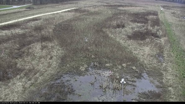 Cell 1_24-03-31_08-48-37-51