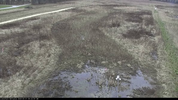 Cell 1_24-03-31_09-22-07-49