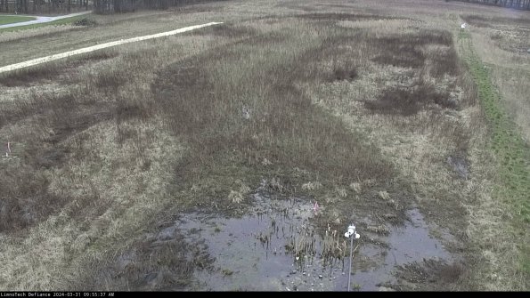 Cell 1_24-03-31_09-55-37-51