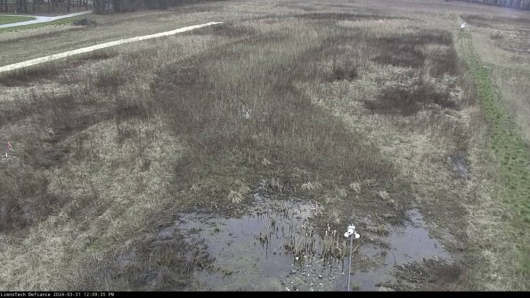 Cell 1_24-03-31_12-09-35-51