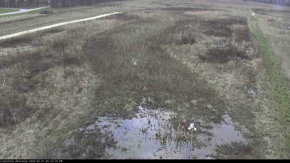 Cell 1_24-03-31_14-23-34-48