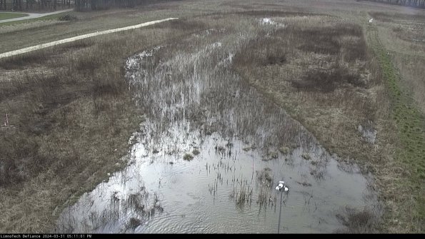 Cell 1_24-03-31_17-11-01-50