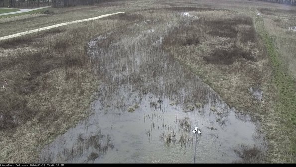 Cell 1_24-03-31_17-44-30-49