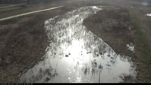 Cell 1_24-03-31_18-18-01-51