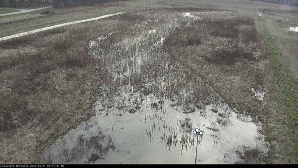 Cell 1_24-03-31_18-51-31-49