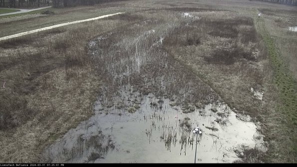 Cell 1_24-03-31_19-25-01-47