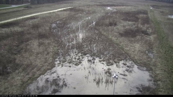 Cell 1_24-03-31_19-58-30-52