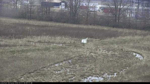 Cell 2 to 3_24-03-31_08-49-17-52