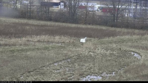 Cell 2 to 3_24-03-31_09-56-17-58