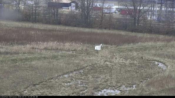 Cell 2 to 3_24-03-31_10-29-48-56