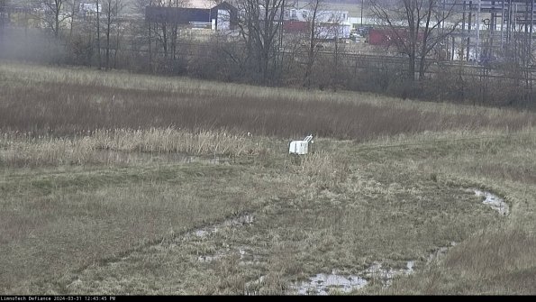 Cell 2 to 3_24-03-31_12-43-45-66