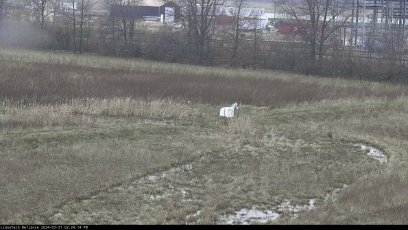 Cell 2 to 3_24-03-31_14-24-14-62