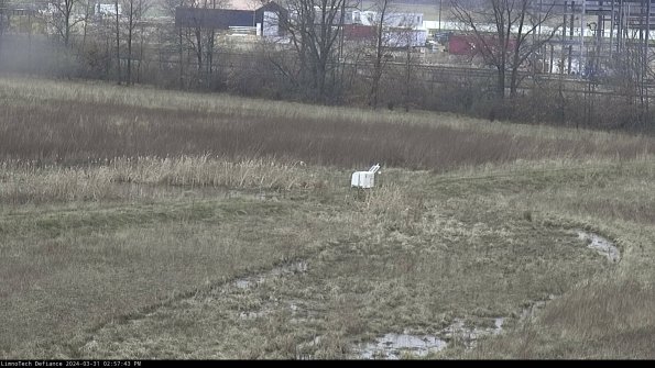 Cell 2 to 3_24-03-31_14-57-43-60