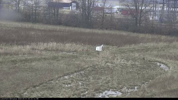 Cell 2 to 3_24-03-31_15-31-12-62