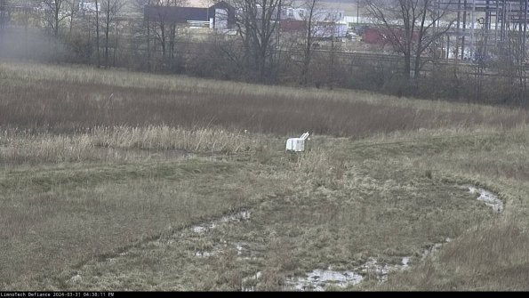 Cell 2 to 3_24-03-31_16-38-11-62