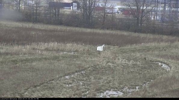 Cell 2 to 3_24-03-31_17-45-10-59