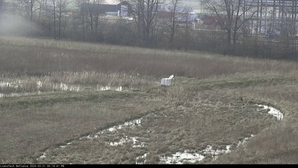 Cell 2 to 3_24-03-31_18-18-41-65