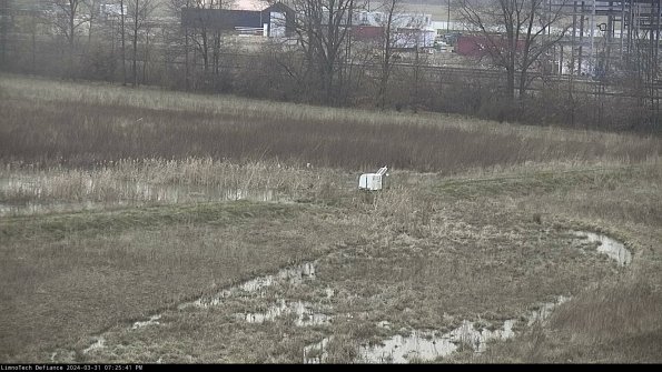 Cell 2 to 3_24-03-31_19-25-41-51