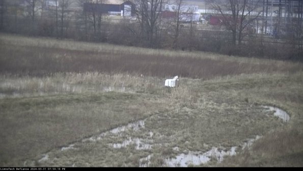 Cell 2 to 3_24-03-31_19-59-10-66