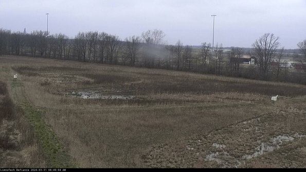 Cell 2_24-03-31_08-49-04-54