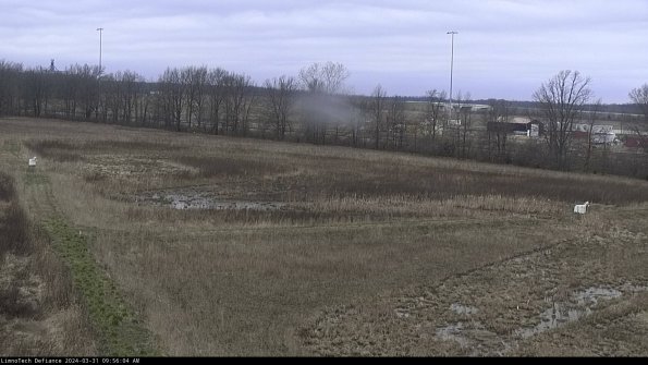 Cell 2_24-03-31_09-56-04-53