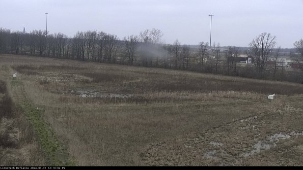 Cell 2_24-03-31_12-10-02-53